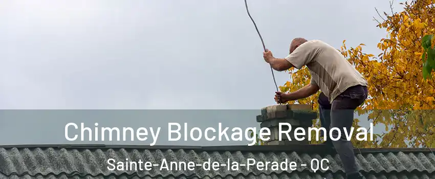  Chimney Blockage Removal Sainte-Anne-de-la-Perade - QC