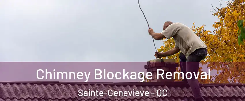  Chimney Blockage Removal Sainte-Genevieve - QC