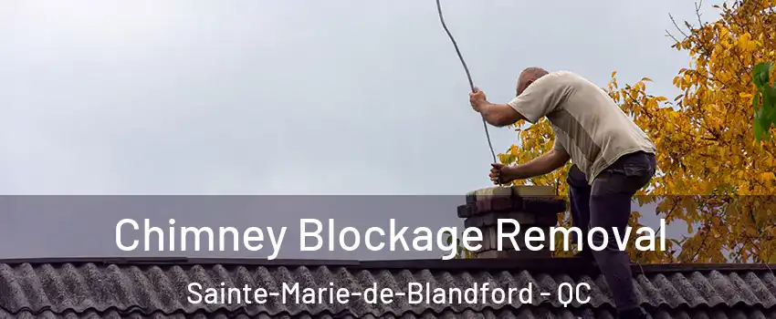  Chimney Blockage Removal Sainte-Marie-de-Blandford - QC