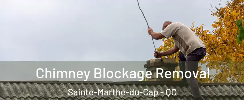  Chimney Blockage Removal Sainte-Marthe-du-Cap - QC