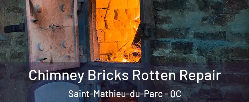  Chimney Bricks Rotten Repair Saint-Mathieu-du-Parc - QC