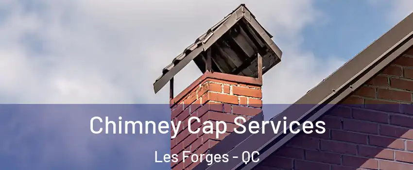  Chimney Cap Services Les Forges - QC