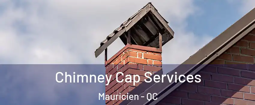  Chimney Cap Services Mauricien - QC