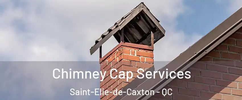  Chimney Cap Services Saint-Elie-de-Caxton - QC
