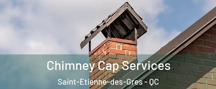  Chimney Cap Services Saint-Etienne-des-Gres - QC