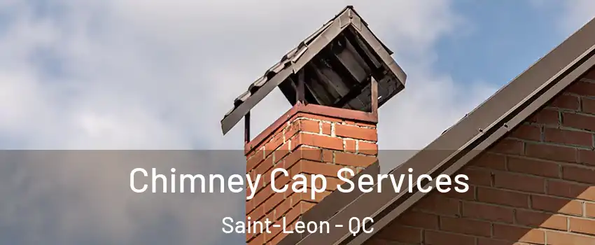  Chimney Cap Services Saint-Leon - QC