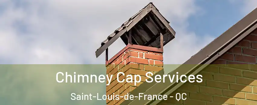  Chimney Cap Services Saint-Louis-de-France - QC