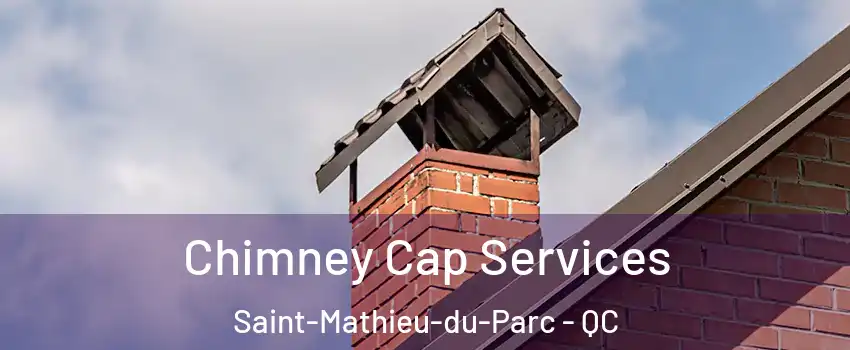  Chimney Cap Services Saint-Mathieu-du-Parc - QC