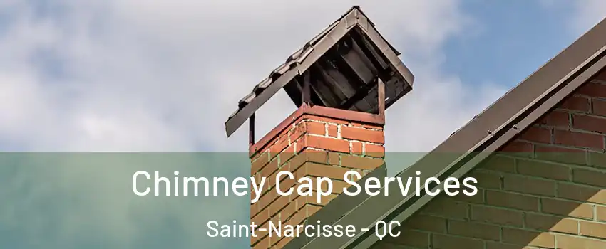  Chimney Cap Services Saint-Narcisse - QC