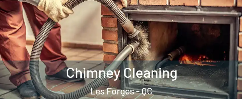  Chimney Cleaning Les Forges - QC