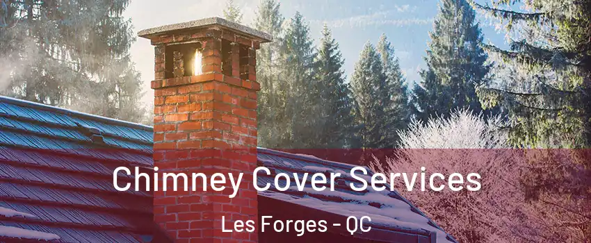  Chimney Cover Services Les Forges - QC