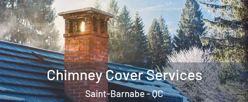  Chimney Cover Services Saint-Barnabe - QC