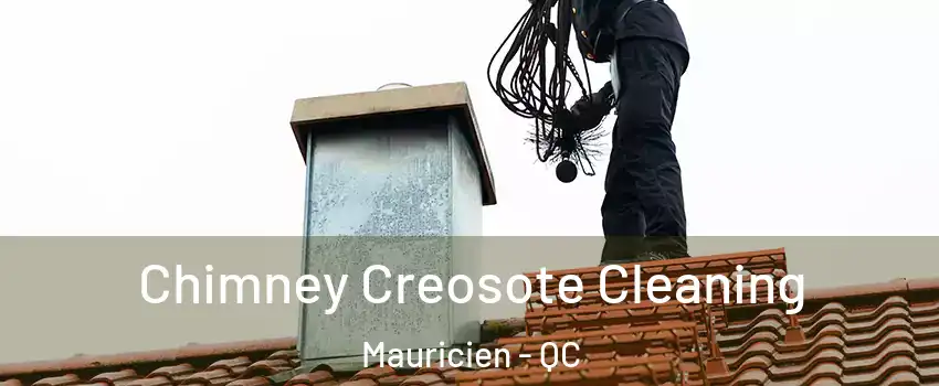  Chimney Creosote Cleaning Mauricien - QC