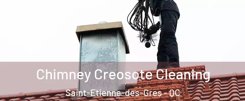  Chimney Creosote Cleaning Saint-Etienne-des-Gres - QC