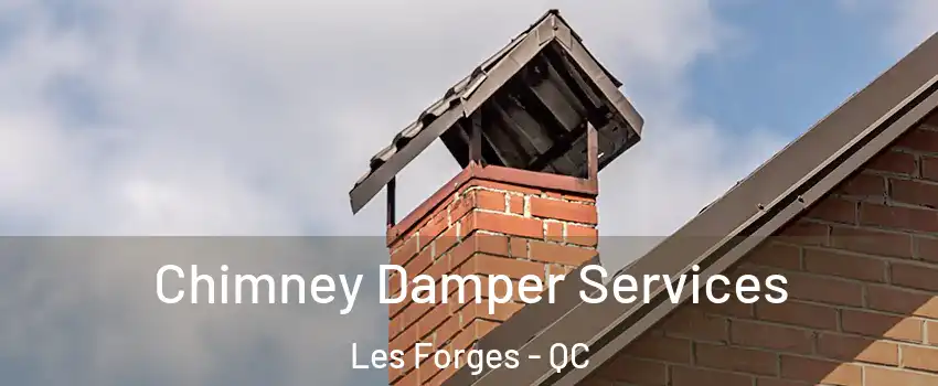 Chimney Damper Services Les Forges - QC