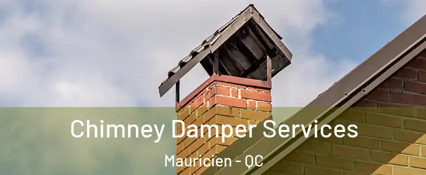  Chimney Damper Services Mauricien - QC