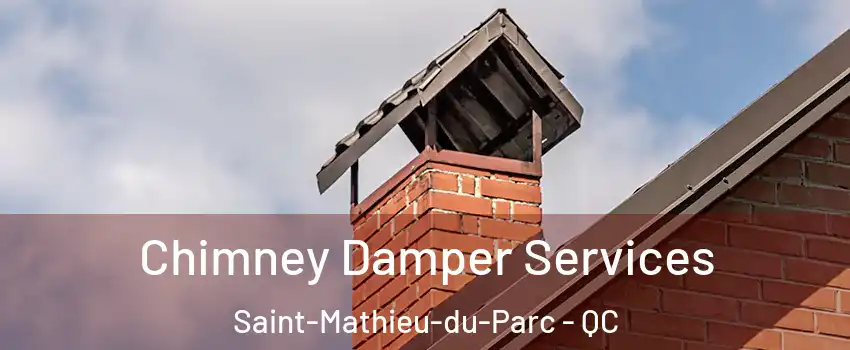  Chimney Damper Services Saint-Mathieu-du-Parc - QC