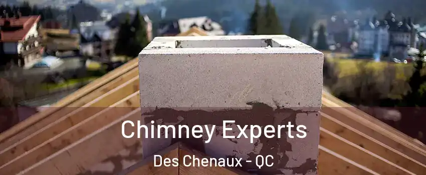 Chimney Experts Des Chenaux - QC
