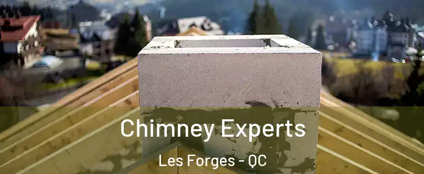 Chimney Experts Les Forges - QC