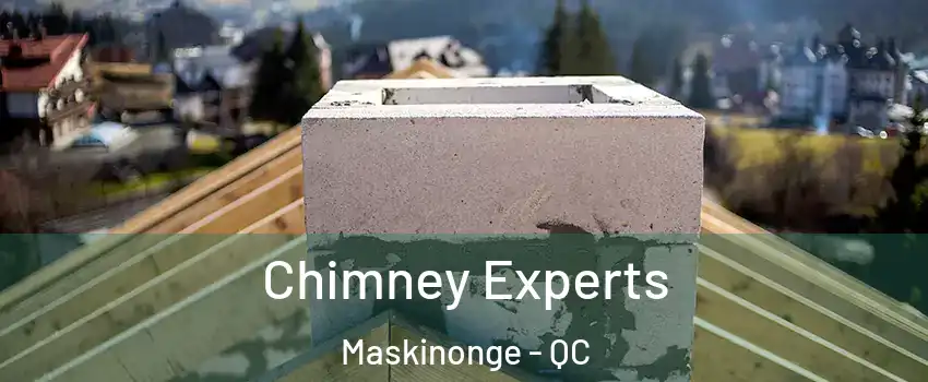 Chimney Experts Maskinonge - QC