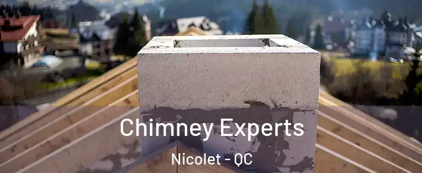 Chimney Experts Nicolet - QC