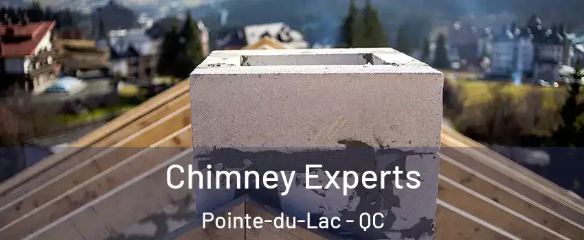 Chimney Experts Pointe-du-Lac - QC