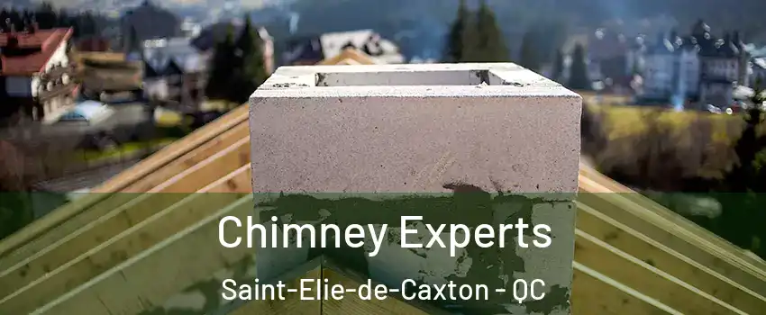 Chimney Experts Saint-Elie-de-Caxton - QC
