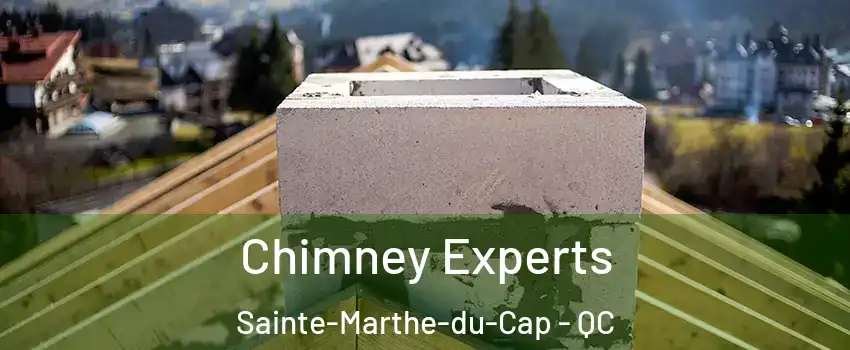 Chimney Experts Sainte-Marthe-du-Cap - QC