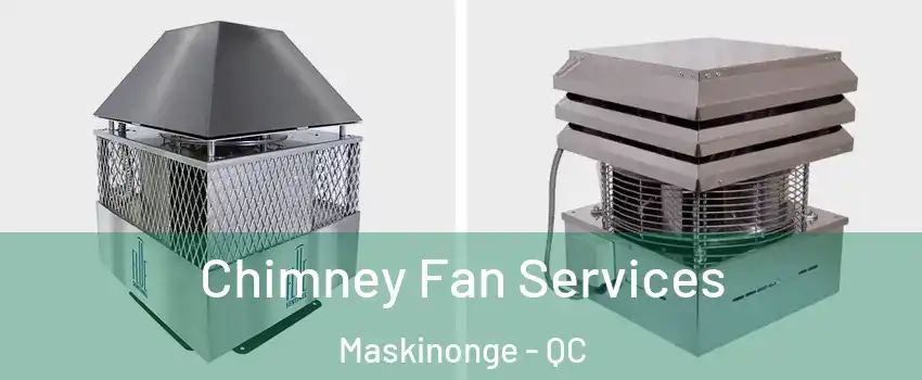  Chimney Fan Services Maskinonge - QC
