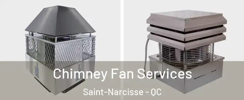  Chimney Fan Services Saint-Narcisse - QC