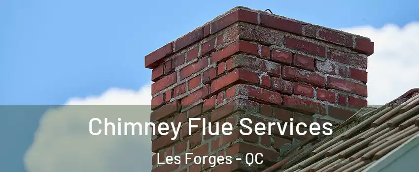  Chimney Flue Services Les Forges - QC