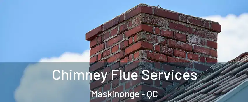  Chimney Flue Services Maskinonge - QC