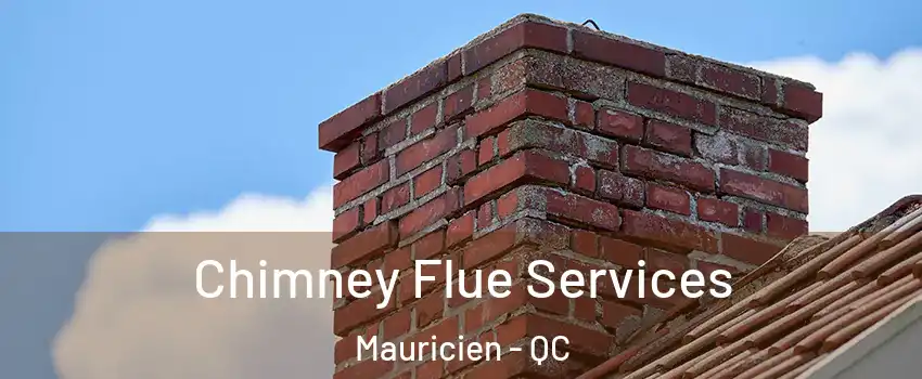  Chimney Flue Services Mauricien - QC