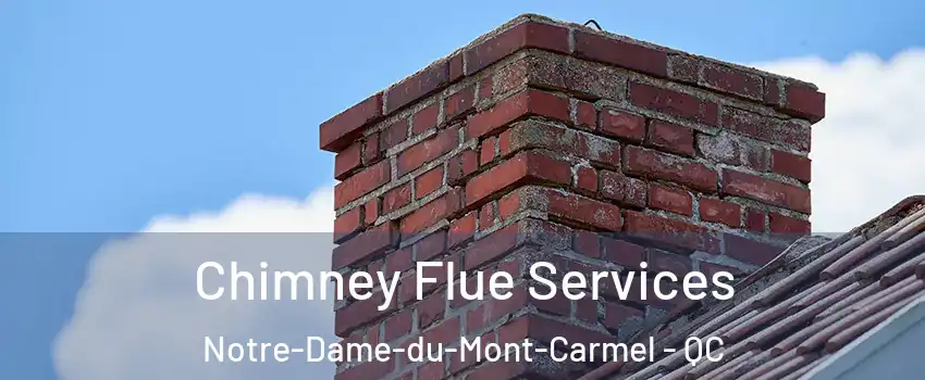  Chimney Flue Services Notre-Dame-du-Mont-Carmel - QC