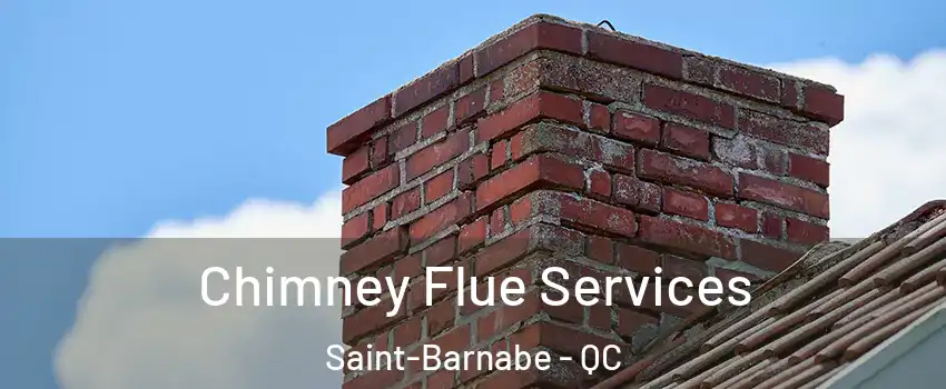  Chimney Flue Services Saint-Barnabe - QC