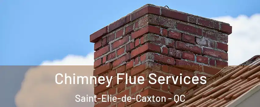  Chimney Flue Services Saint-Elie-de-Caxton - QC