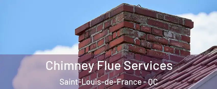  Chimney Flue Services Saint-Louis-de-France - QC