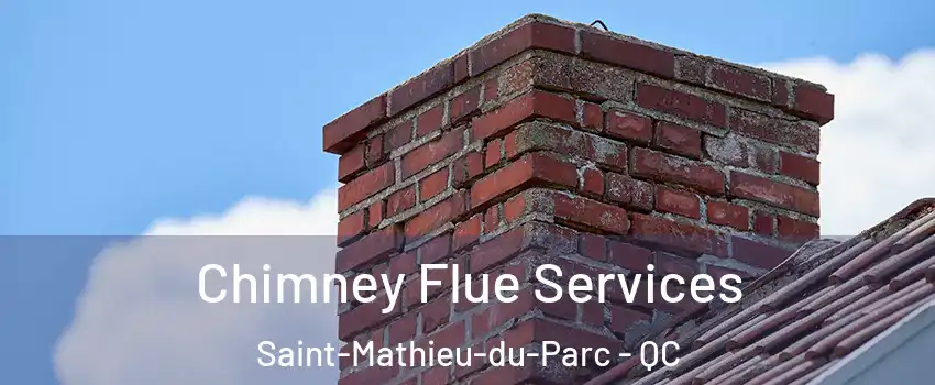  Chimney Flue Services Saint-Mathieu-du-Parc - QC