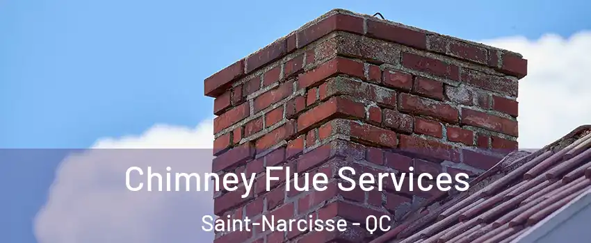  Chimney Flue Services Saint-Narcisse - QC