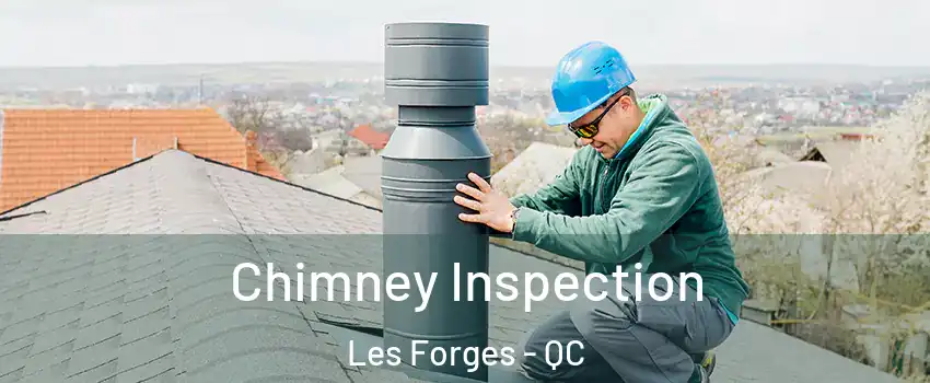  Chimney Inspection Les Forges - QC