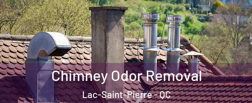  Chimney Odor Removal Lac-Saint-Pierre - QC