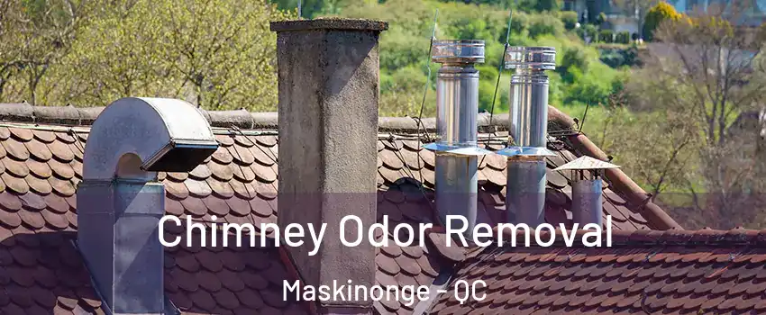  Chimney Odor Removal Maskinonge - QC