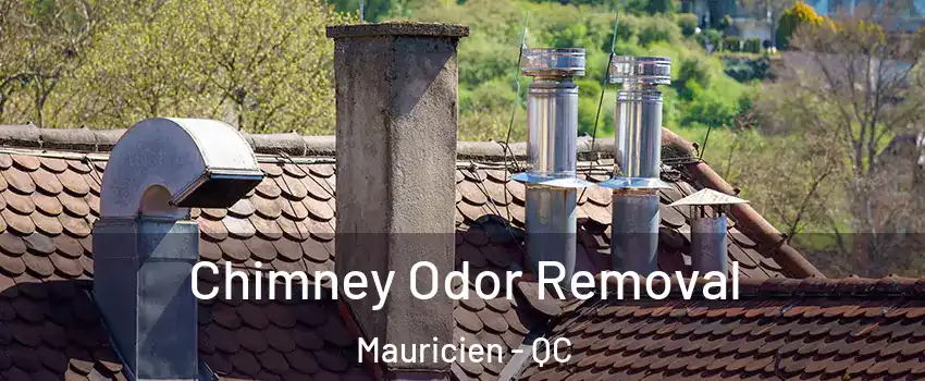 Chimney Odor Removal Mauricien - QC