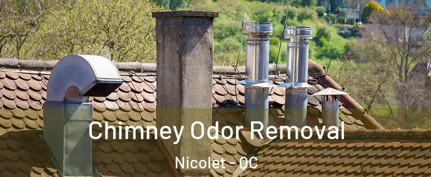 Chimney Odor Removal Nicolet - QC