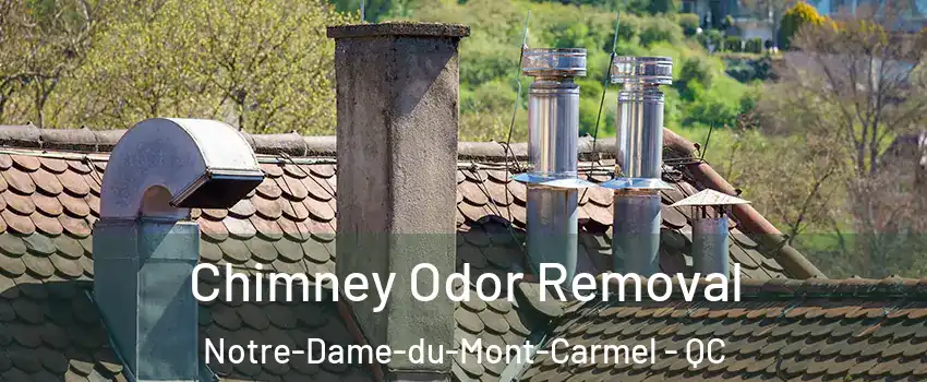  Chimney Odor Removal Notre-Dame-du-Mont-Carmel - QC