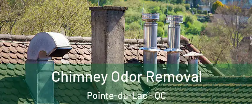  Chimney Odor Removal Pointe-du-Lac - QC