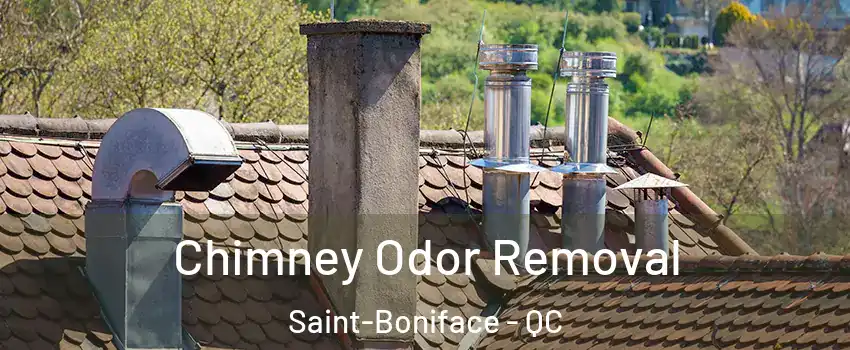  Chimney Odor Removal Saint-Boniface - QC