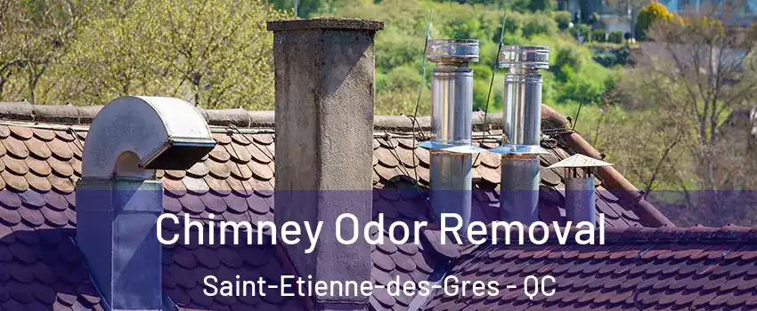  Chimney Odor Removal Saint-Etienne-des-Gres - QC