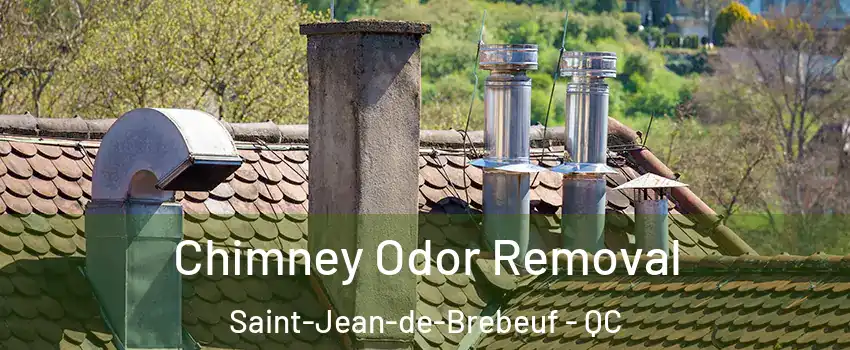  Chimney Odor Removal Saint-Jean-de-Brebeuf - QC