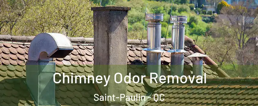  Chimney Odor Removal Saint-Paulin - QC
